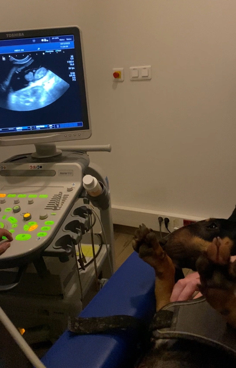 Cuvée 2026 à venir